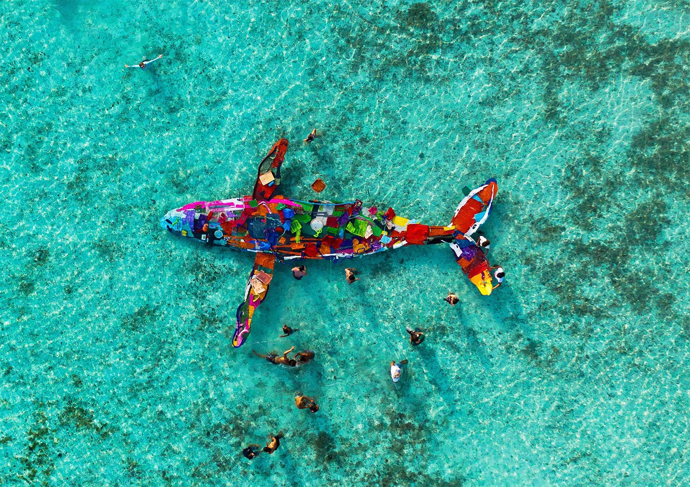 Plastic Whale by Trashsure and Bordalo II